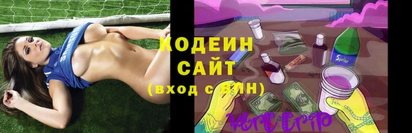 индика Волосово