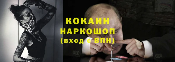 сатива Верхний Тагил
