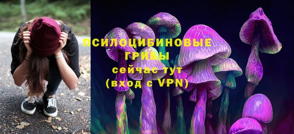 мяу мяу мука Верхнеуральск