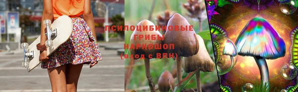 сатива Верхний Тагил