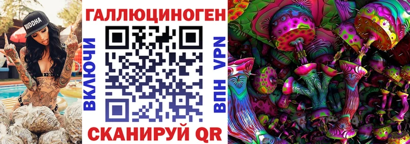 Купить Новоульяновск Галлюциногенные грибы мицелий